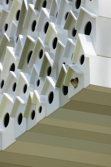 QUEDAMOS EN...LA CASA DEL ÁRBOL! / MEETING IN... THE TREE HOUSE!