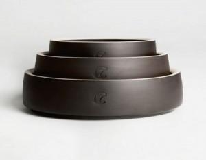 Could 7: la colección que hará feliz a tu perro