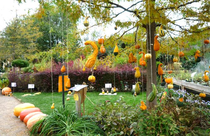 Decora tu jardín en Halloween - Paperblog