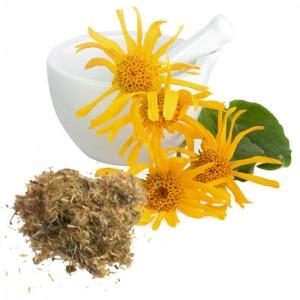 9 Hierbas para combatir el dolor de la artritis