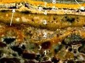 Ciencia Aplicada Restauración