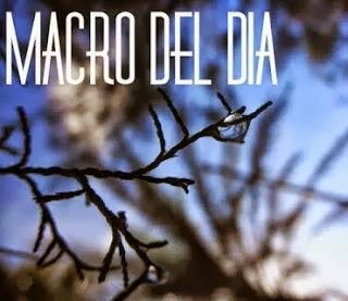 Blog Hop Macro del Día - BORDADOS A MANO