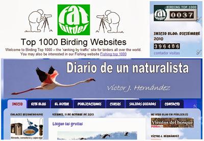 Primeros puestos del Birding Top 1000