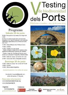 29 y 30 junio: V Testing de Biodiversidad de Els Ports