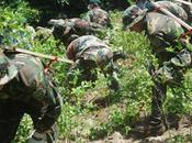 coca desafiado cocaleros