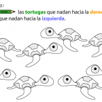 tortugas