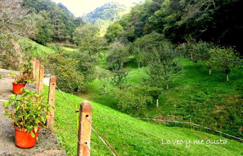 Pañando manzanes (Cogiendo manzanas)