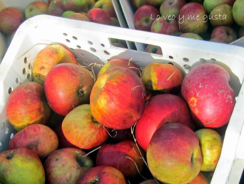 Pañando manzanes (Cogiendo manzanas)