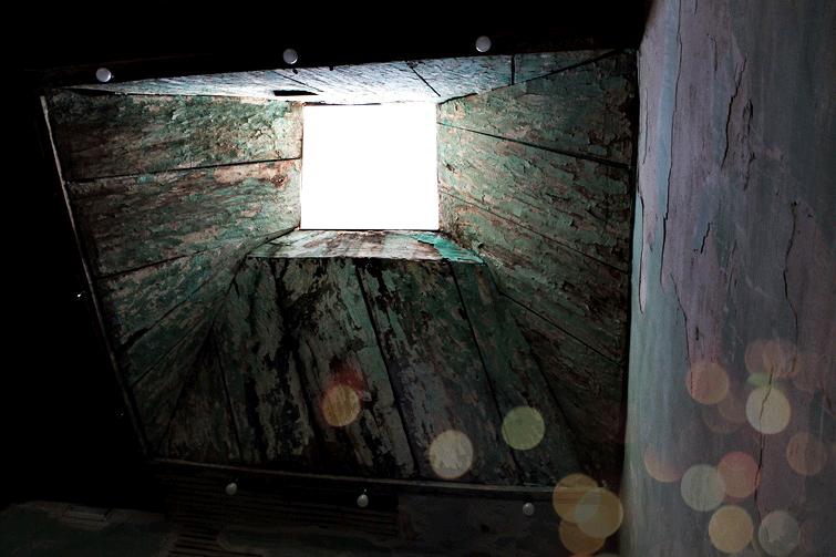 Concept Store: Cuervo