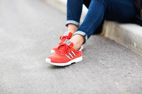 Image Hosted by ImageShack.us