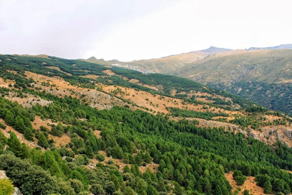 Sierra Nevada en verano