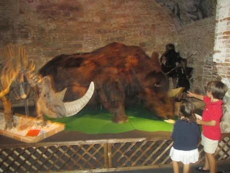 Museo del Mamut de Barcelona