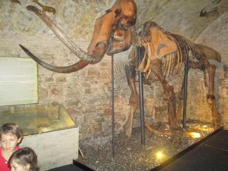 Museo del Mamut de Barcelona