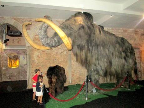 Museo del Mamut de Barcelona