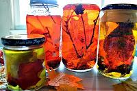 Recursos: Actividades manipulativas y sensoriales de Otoño