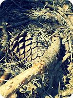 Recursos: Actividades manipulativas y sensoriales de Otoño