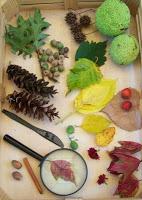 Recursos: Actividades manipulativas y sensoriales de Otoño