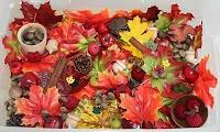 Recursos: Actividades manipulativas y sensoriales de Otoño