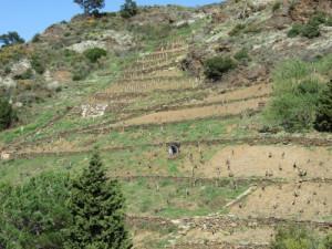 Le Casot des Mailloles