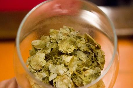 Homebrewing workshop in The Craft Beer Pop up | Taller de cerveza casera en la Craft Beer Pop Up Lúpulo en flor