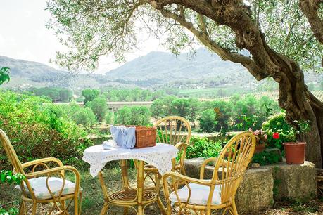 Table under the olive tree