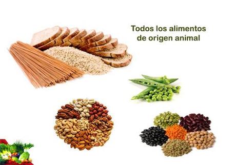 alimentos ricos en vitamina b1