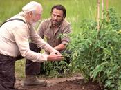 Sabias que... 4x01 Days Without Accident