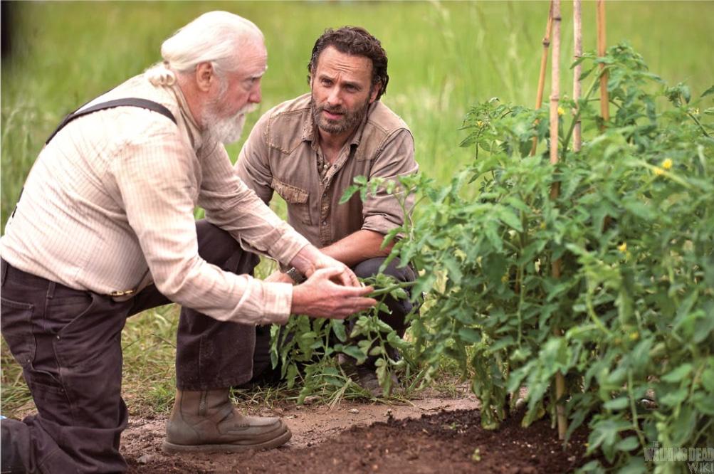 Sabias que... 4x01 30 Days Without An Accident