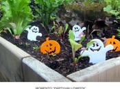 lechuga amenazado…