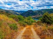 Vale Douro Miguel Torga
