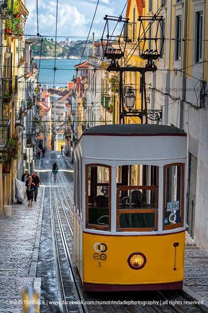 Lisboa by Nuno Trindade