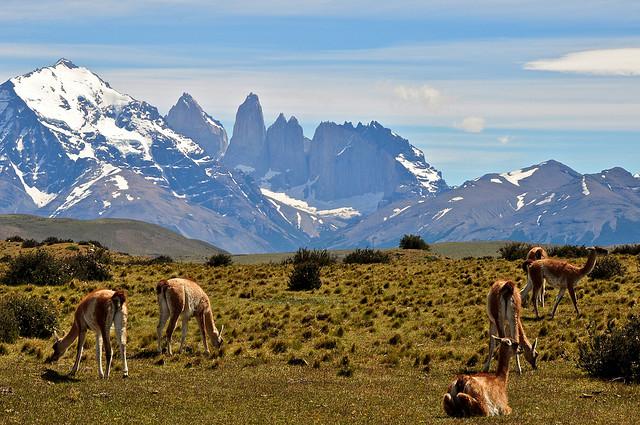 patagonia