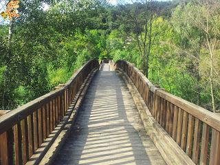 Qué ver en La Garrotxa