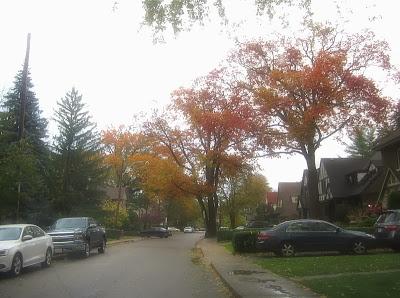 Sábado lluvioso en Westdale, Hamilton, ON