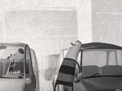 Carpark Bird Studio