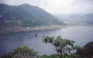 La acción de los impulsivos