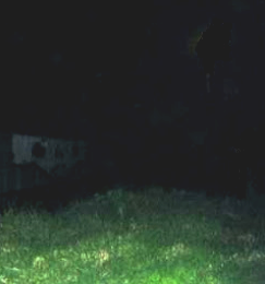 Segundo reto de Halloween