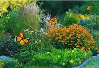 Cómo Diseñar Un Jardín De Mariposas