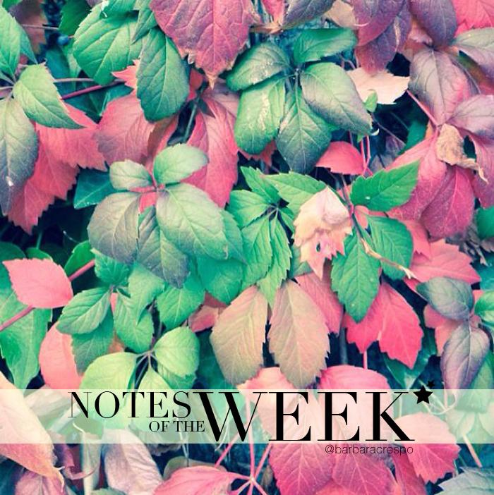 notes of the week barbara crespo tumblr instagram instavideo pics photography
