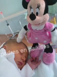 fans-minnie-mouse-peluche