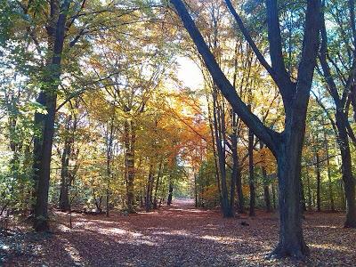 OTOÑO EN BERLÍN