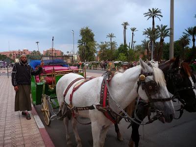 Callejeando por Marrakech