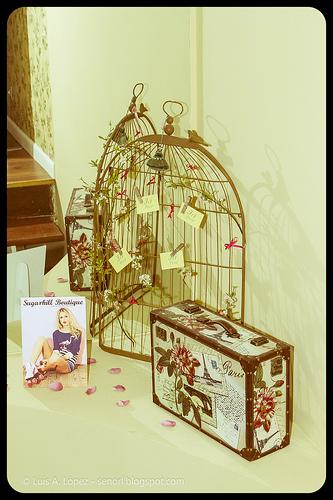 Ici Paris, fiesta Bloggers