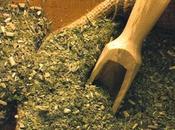 sendero yerba mate