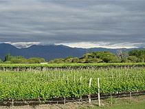 Valle Calchaquí