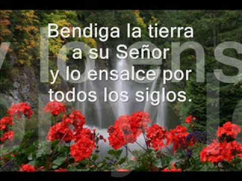 Imagen de previsualización de YouTube