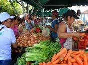 Gore lima organiza feria regional agropecuaria “expo huacho 2013”…