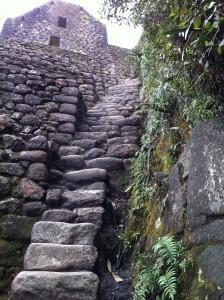 Fotos Juan 2011 2012 y 2013 1497