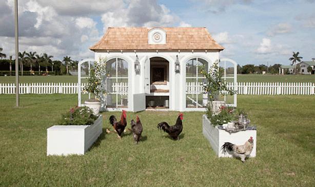 gallinero-de-lujo-por-sólo-100000-dólares