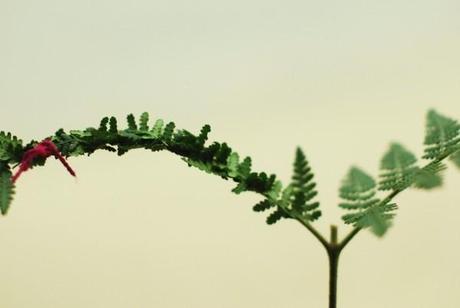 Heart from Vietnam #diy 